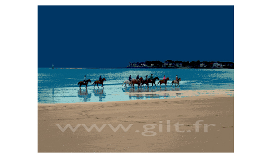 Chevaux - Plage de La Baule-les Pins