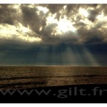 Gilt Paysages Mer N°: M48