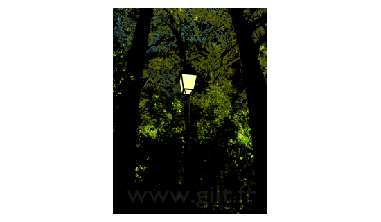 Lampadaire alumé - Bois de la Chaise - Noirmoutier