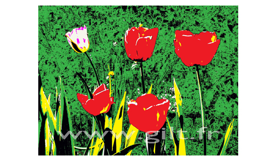 Tulippes sur fond végétal Gilt Fleurs et Plantes N°: FP07