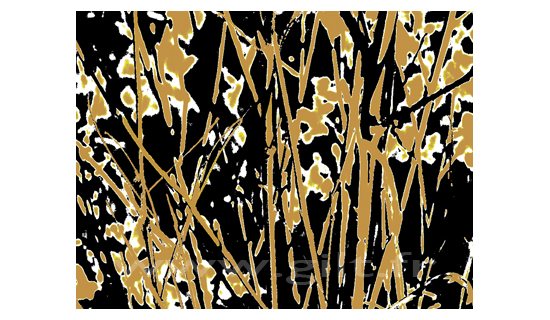 Empreintes - Bambous - Fond noir