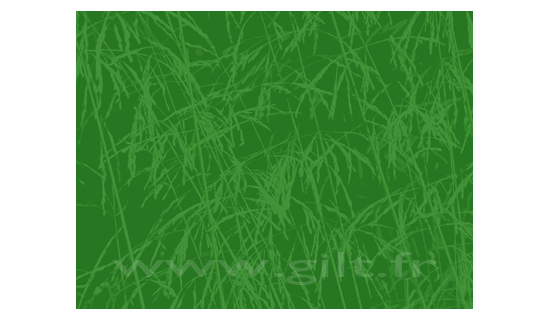 Empreintes Herbes - Fond vert