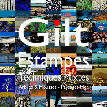 Gilt livre Estampes et Techniques Mixtes - Volume 2