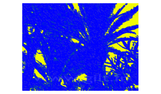 Feuilles - Bleu et fond jaune - Palmier