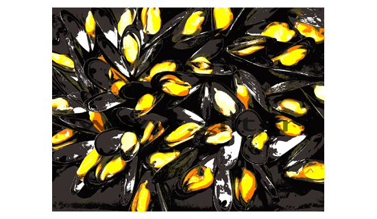 Moules de bouchot à la Marinière